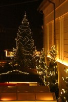 Weihnachtszauber im Landgestüt Celle