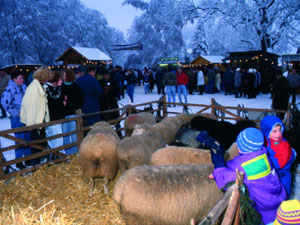 Weihnachten 2005 - Weihnachtsmarkt Ulrichstein