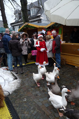 Weihnachtsmarkt in Gummersbach