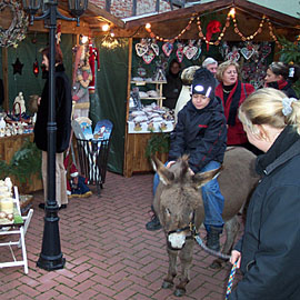 Hof-Weihnachtsmarkt im Altstadt-Cafe-Nickel