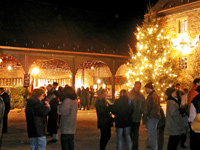 Weihnachtlicher Brauchtumsmarkt im Herrenhof