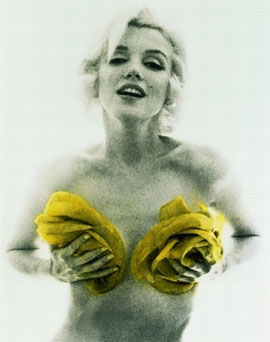 Lange Nacht Marilyn Monroe - The Last Sitting