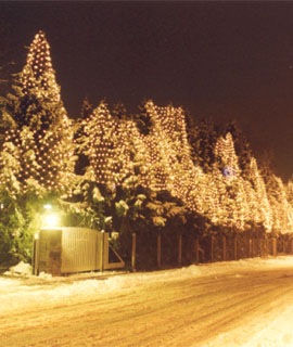 Troher Weihnachtslichter 2007