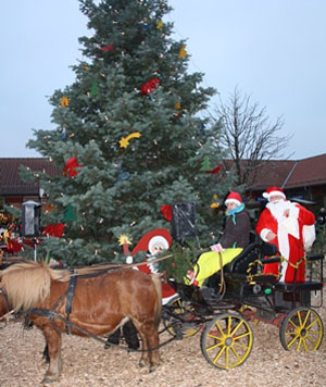 Weihnachtsmarkt in Göhren-Lebbin