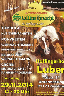 Stallweihnacht bei Haflinger Luber