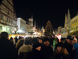 Günzburger Nikolausmarkt