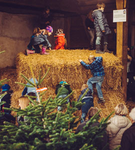 Weihnachtlicher Hofmarkt in Ostercappeln