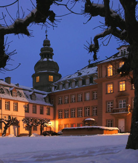 Weihnachtsmarkt Bad Berleburg